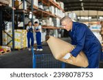 Small photo of Elderly man puts bulky paper sack of dry construction mix on trolley. Movers shift, move, heavy packages in auxiliary room of repair materials store