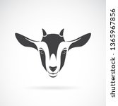 Vector Of Goat Head Design On A ...