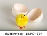 Of Chicken Eggs On White...