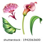 Digital Botanical Illustration...