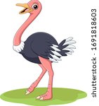Cartoon Happy Ostrich In The...