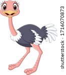 Cartoon Baby Ostrich Isolated...