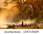 shepherd leading a flock of goats 
