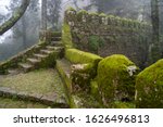 Moss Covered Old Steps And...