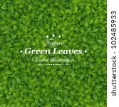 green leaves texture. vector... | Shutterstock .eps vector #102485933