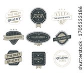 set of vintage badges and... | Shutterstock .eps vector #1705333186