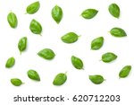 Basil leaves isolated on white background. Top view. Flat lay