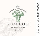 broccoli logo template. hand... | Shutterstock .eps vector #2091290806