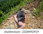 Small photo of Magnetite iron ore specimen sample raw mineral in miner geologyst hand