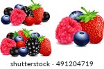 strawberry  blackberry ... | Shutterstock .eps vector #491204719