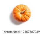 Pumpkin isolated on white...