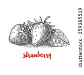 Strawberry  Vintage Berries