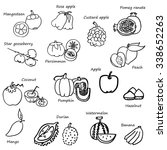 fruit sketch in black doodle... | Shutterstock .eps vector #338652263