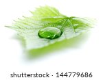 Water Drop On Leaf Isolated On...