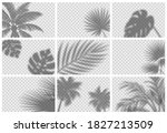 realistic shadow overlay effect ... | Shutterstock .eps vector #1827213509