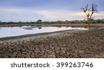 Drought  In Kruger National...