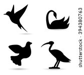 collection of bird species on... | Shutterstock . vector #394380763