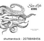 octopus tentacle vector sketch. ... | Shutterstock .eps vector #2078848456