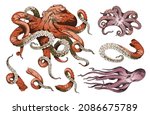 red octopus for menu or tattoo... | Shutterstock .eps vector #2086675789