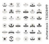 vintage logos design templates... | Shutterstock .eps vector #732828499