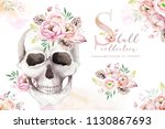 Human Watercolor Skull With...