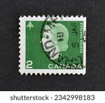 Small photo of CANADA - CIRCA 1963 : Cancelled Postage stamp printed by Canada, that shows portrait of Queen Elizabeth II and tree, circa 1963.