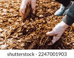 Wood Chips Mulching Composting. ...