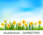 blossom daffodils and blue sky | Shutterstock .eps vector #1649827450