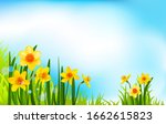 season flowers on blue sky | Shutterstock .eps vector #1662615823