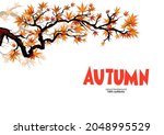 autumn asian maple branch with... | Shutterstock .eps vector #2048995529