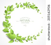 green leaves frame on white... | Shutterstock .eps vector #205162936