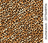 zebra and leopard skin mix... | Shutterstock .eps vector #2075648956