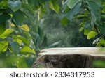 Small photo of Wood tabletop counter podium floor in outdoors tropical garden forest blurred green blue leaf plant nature background.Natural product placement pedestal stand display,summer jungle paradise concept.
