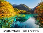 Scenic view of the Five Flower Lake among fall woods in Jiuzhaigou nature reserve (Jiuzhai Valley National Park), China. Submerged tree trunks are visible in azure water.