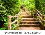 Scenic Stone Stairs Among Green ...