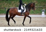 Small photo of Dressage horse dark brown in a test, horse in passage at circle point "V".