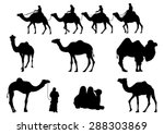 Camel Silhouettes. Vector Image