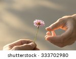 Hand gives a wild flower with...
