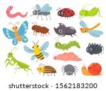 Cute cartoon insects. Funny caterpillar and butterfly, children bugs, mosquito and spider. Green grasshopper, ant and ladybug. Bug insect colorful isolated vector illustration icons set