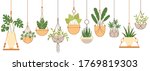 Plants In Hanging Pots. Set Of...