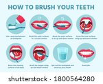 how to brush teeth. oral... | Shutterstock .eps vector #1800564280