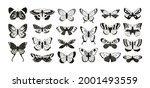 butterflies silhouettes. moth... | Shutterstock .eps vector #2001493559