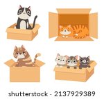 cats in boxes. animals sitting... | Shutterstock .eps vector #2137929389