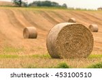 Hay Bale In Harvest Field