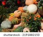 Variety Of Autumn Harvest...