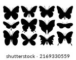 butterfly. bundle of template... | Shutterstock .eps vector #2169330559