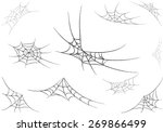 Spider Web Monochrome. Vector...