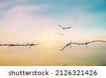 Small photo of Abstract Barrier wire fence refugee Twilight sky. Deliverance Broke spike change bird boundary human rights slave prison jail break hope freedom justice social liberty day world war emancipation win.