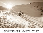 Snow covered fir trees on the background of mountain peaks. Panoramic view of the picturesque snowy winter landscape. . High quality photo