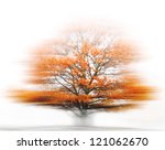 Small photo of Auf diesem Bild ist eine Eiche (Quercus) in einer BewegungsunschA?A?A?A¤rfe zusehen. In this image is get to see a oak (Quercus) in a in-motion unsharpness.